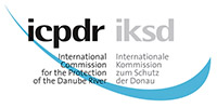 ICPR logo
