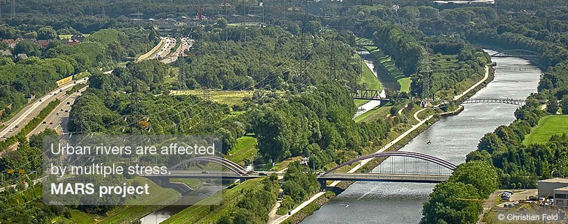 Urban rivers are affected by multiple stress