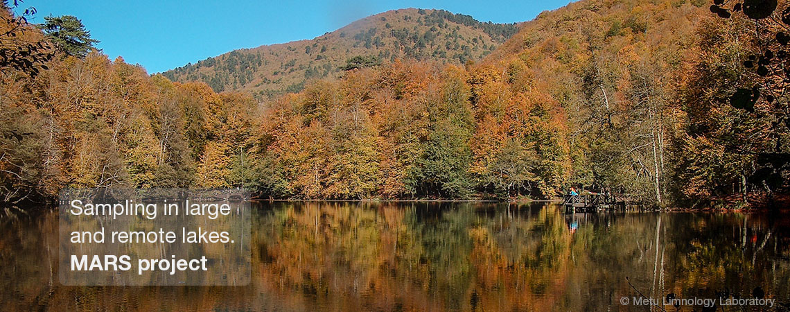 Habitat diversity and biodiversity